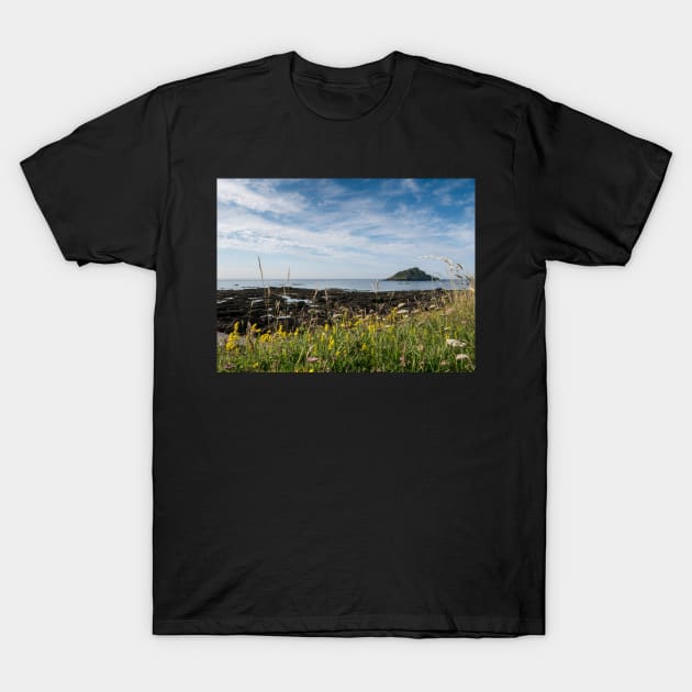 Mewstone Island from Wembury Point T-Shirt by jonrendle